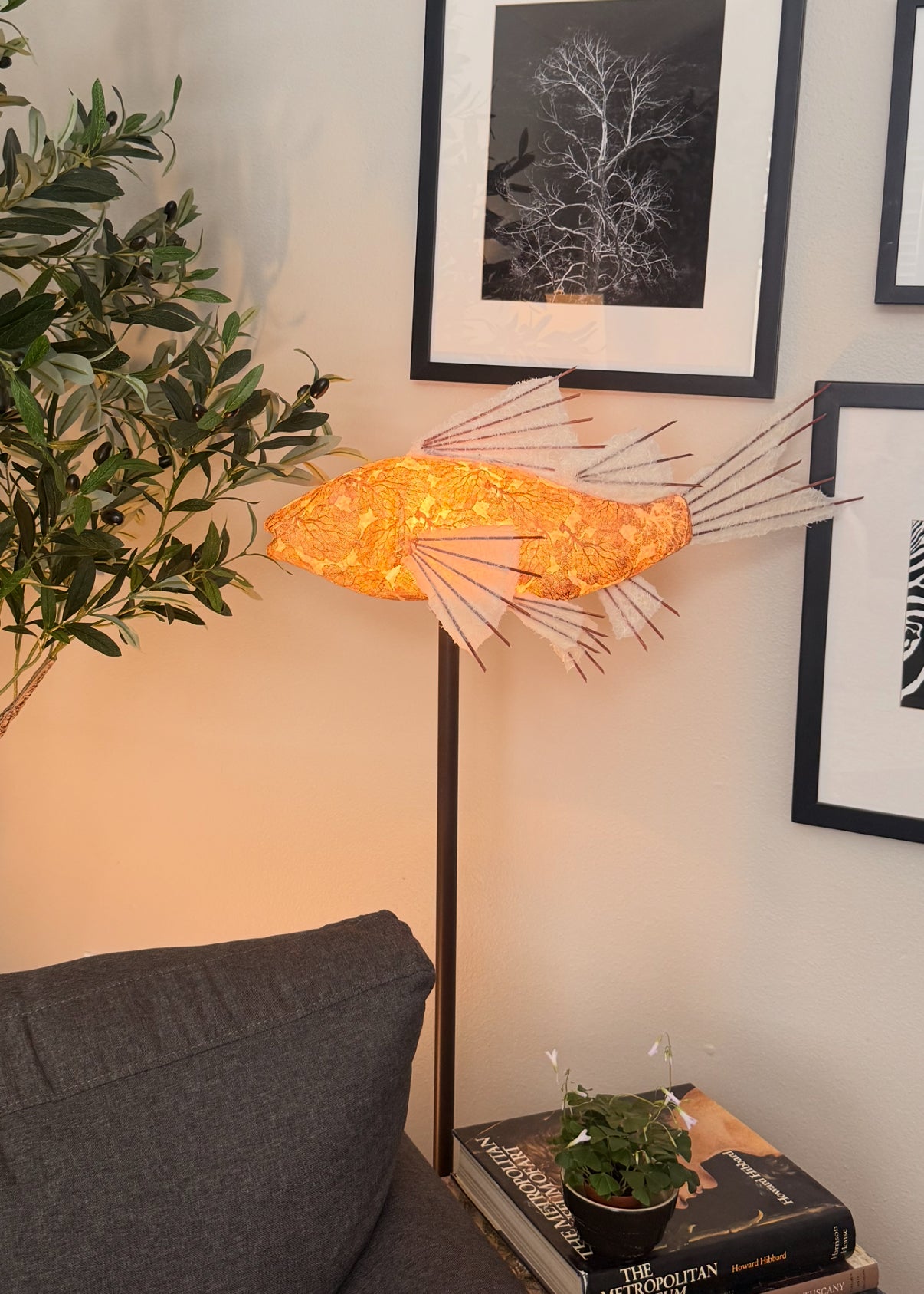 Copper Coral
