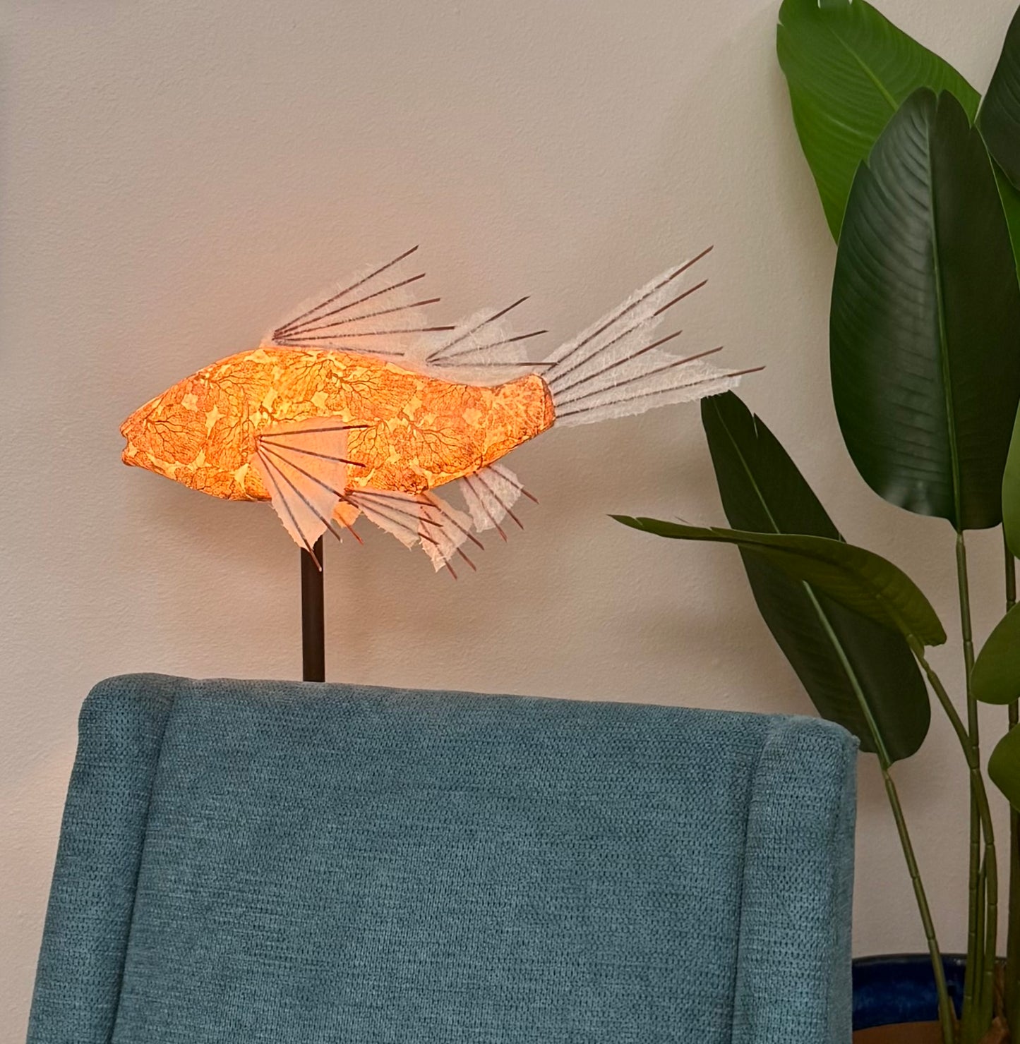 Copper Coral