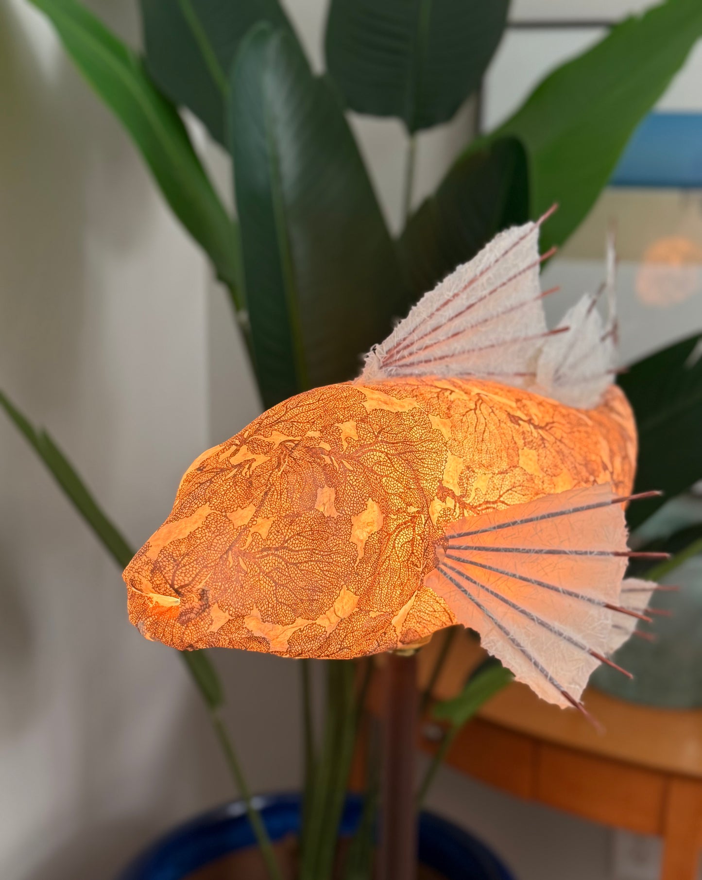 Copper Coral