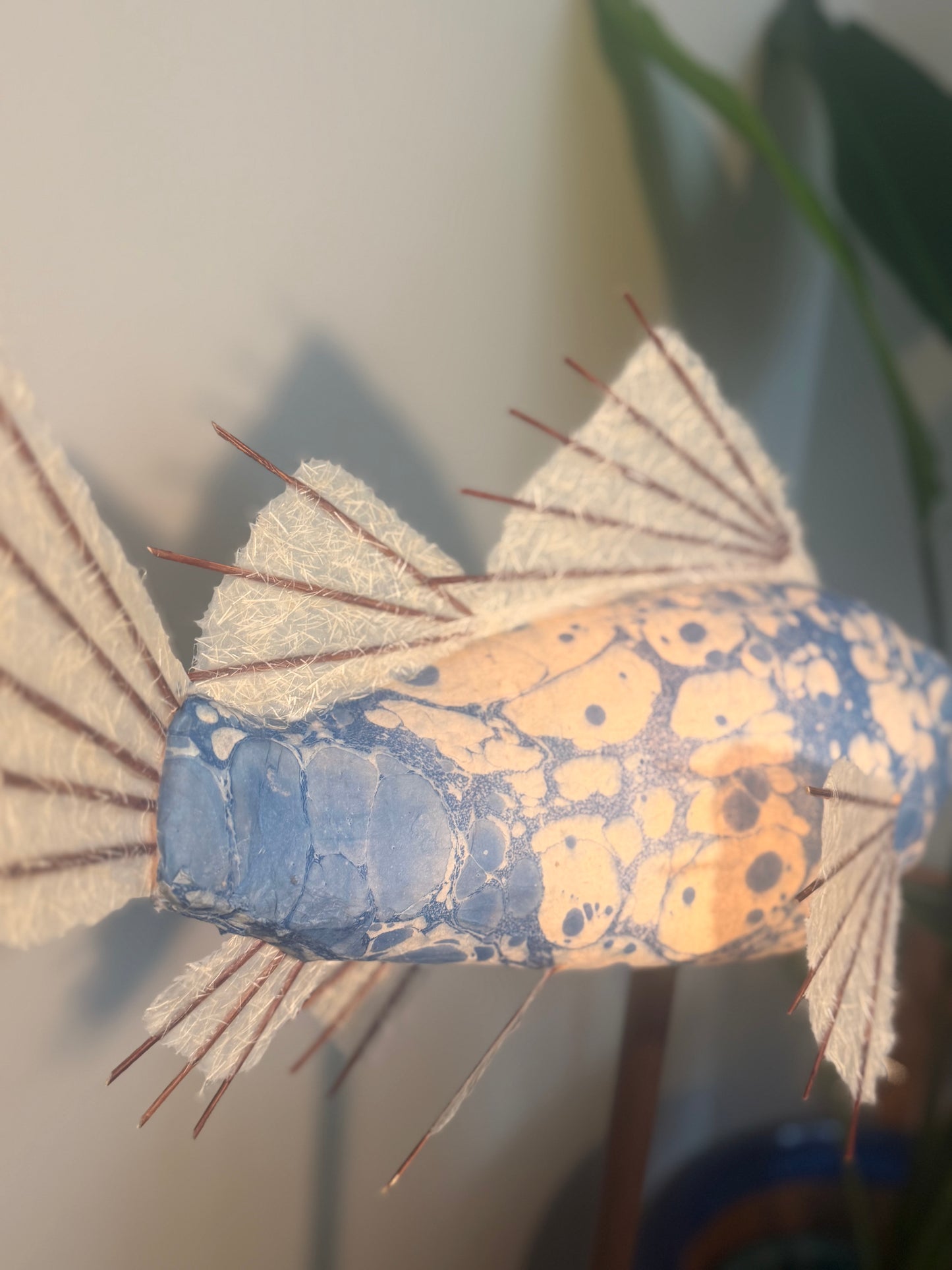 Dutch Blue