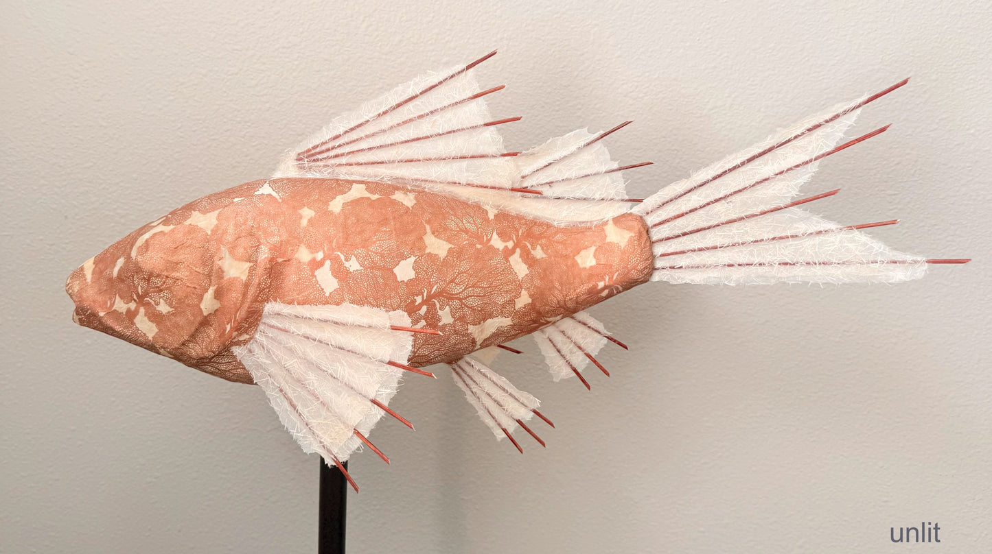 Copper Coral